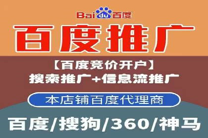 sem百度竞价实战：成功案例解析